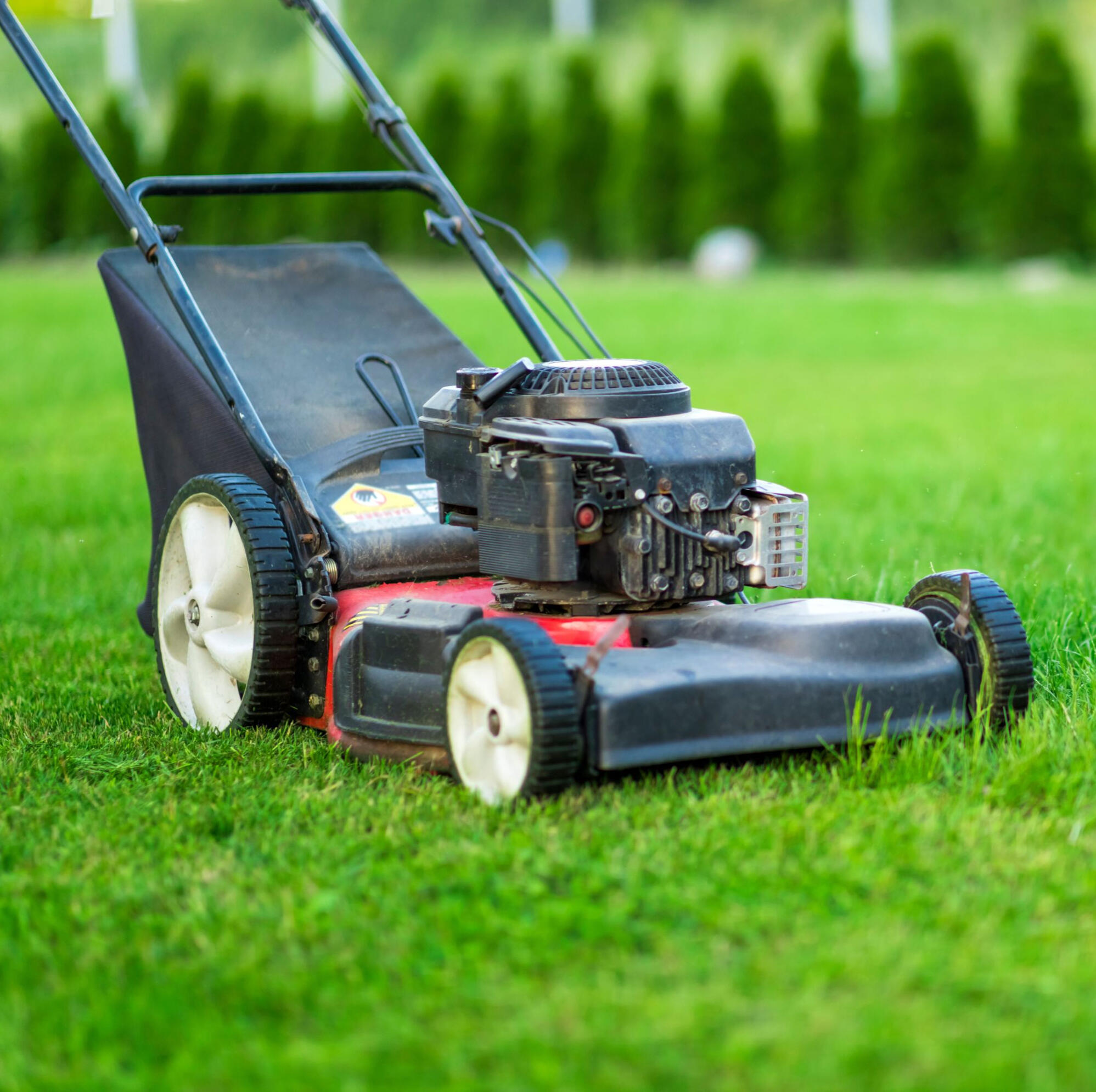 mower cutting green grass
